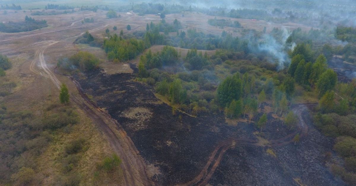На Полтавщині другу добу масштабно горять торфовища
