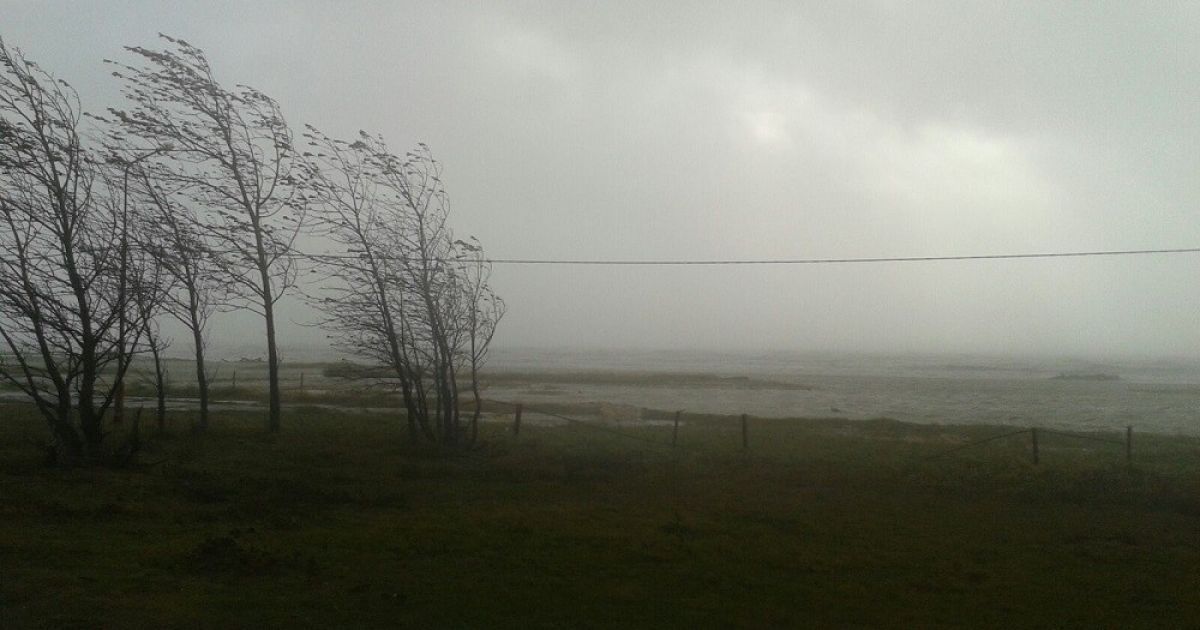 На Сахалині бушует непогода / © sakhalin.info