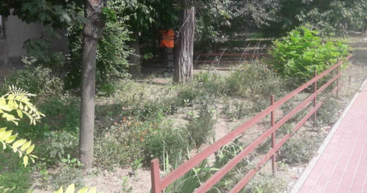 У Маріуполі біля дитячої бібліотеки знайшли мертвого чоловіка — Укрaїнa — tsn.ua - Vimarsana News