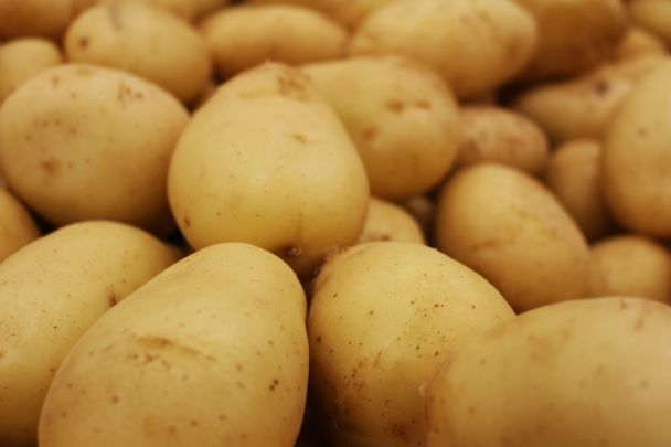 посадка картоплі / © Pexels