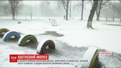 Квітень лютує: снігом засипало чотири області України