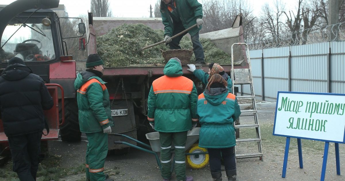 У Києві від 1 січня запрацюють пункти приймання новорічних ялинок