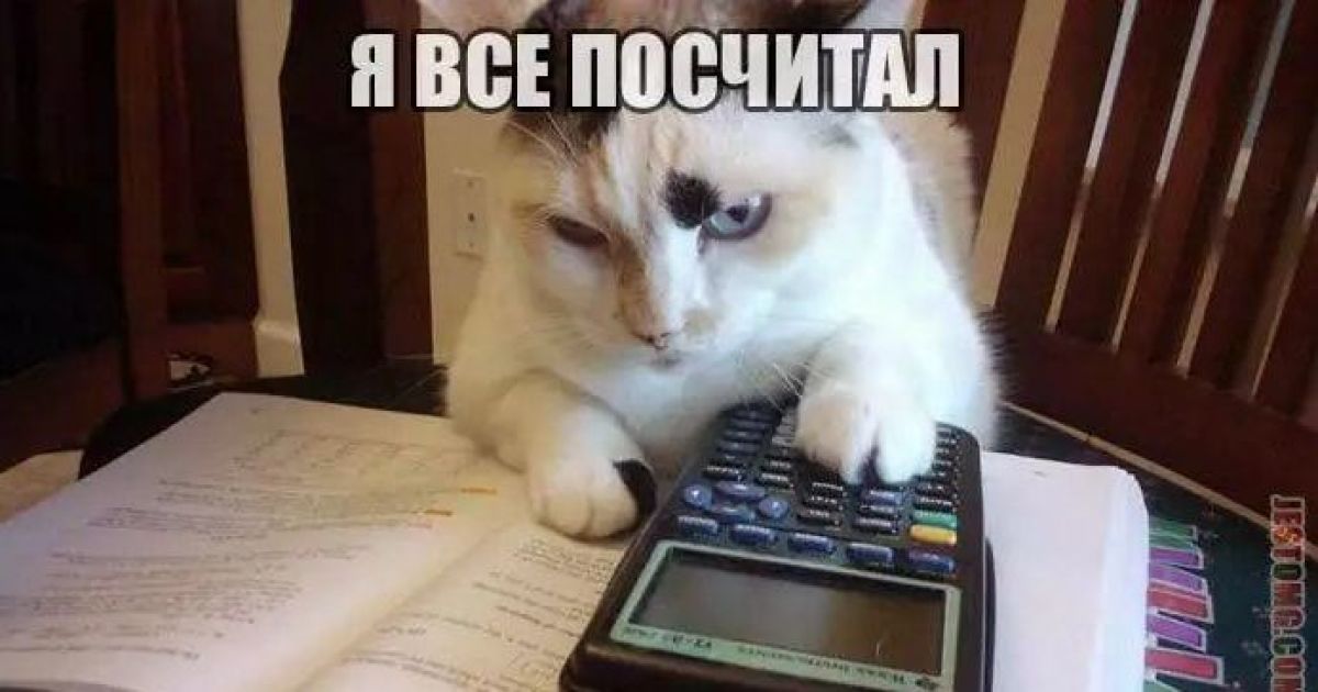 Мемы о Брагар / © из соцсетей