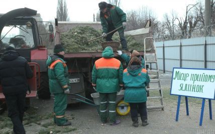 У Києві від 1 січня запрацюють пункти приймання новорічних ялинок