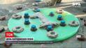 Новини світу: в американському звіринці влаштували день народження для трьох левів