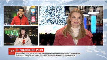 В ожидании 2019: как готовятся встречать Новый год в Германии и США