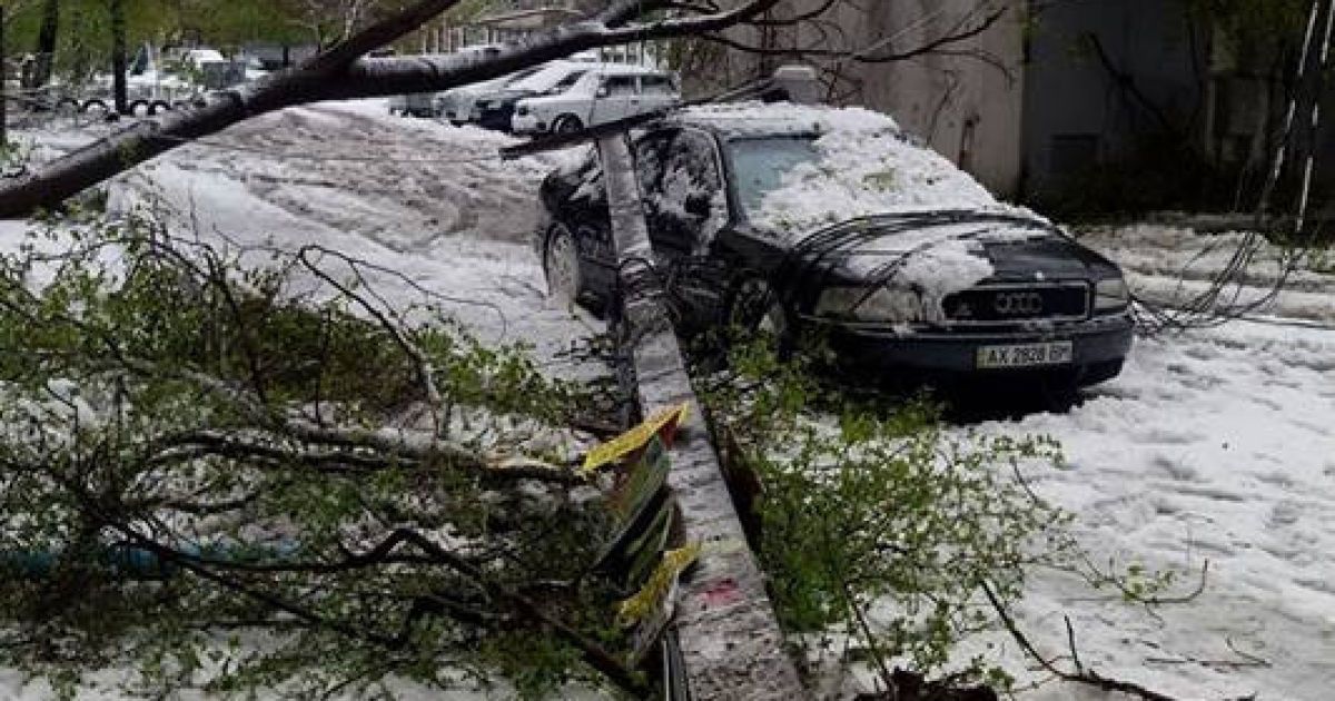 сніг у Дніпрі / © Facebook/Dmitriy Kotulev