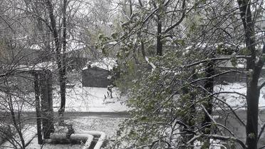 сніг у Дніпрі / © Facebook/Павло Балабанов