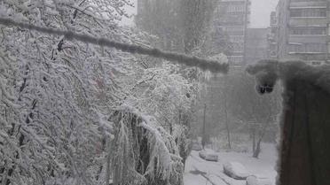 сніг у Дніпрі / © Facebook/Igor Zinkevych