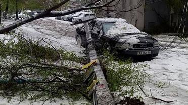 сніг у Дніпрі / © Facebook/Dmitriy Kotulev