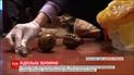 СБУ викрила підпільну зброярню на Дніпропетровщині