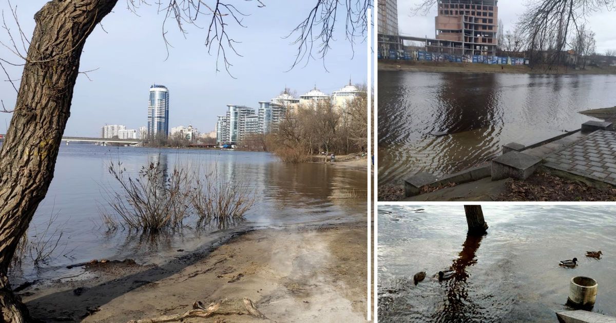 Колаж ТСН