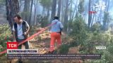 Новини світу: підпал лісу - затримані в Анталії росіяни заперечують свою провину