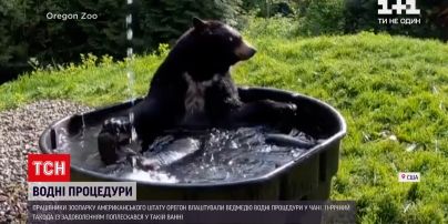 Новини світу: Мережею шириться відео, як ведмідь з американського зоопарку приймає водні процедури