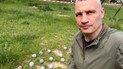 Кличко показал видео с кассетными боеприпасами, которыми РФ атаковала Киев