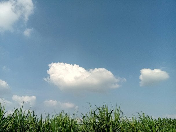 2 липня тиха і тепла погода — до хорошого літа / © unsplash.com