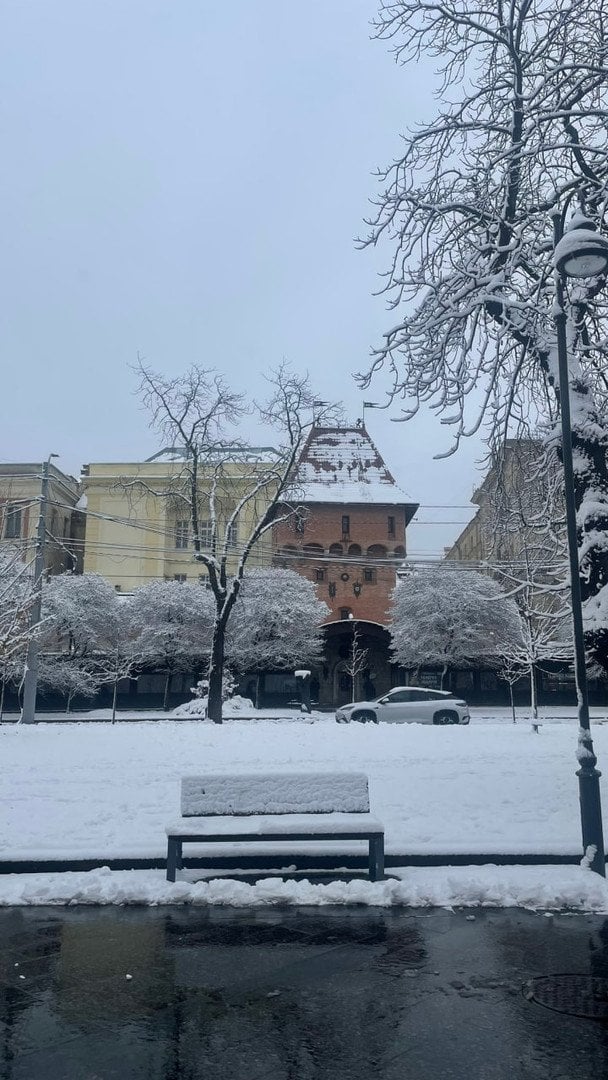 Налипання мокрого снігу у Львові / © Twitter 