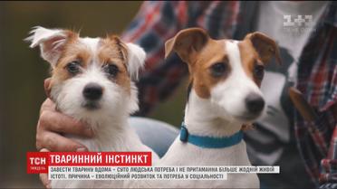 Професори дослідили, що людина – єдине живе створіння, яка опікується іншими тваринами
