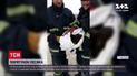 Новини України: у Миколаєві рятувальники витягли з-під бетонних плит песика