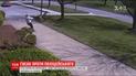 У США гусак напав на копа, коли той йшов на роботу