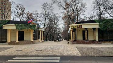 Кафе Сєпар_1 / © dnews.dn.ua