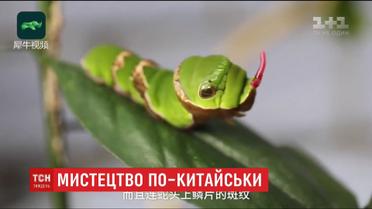 В Китае нашли гусеницу, похожую на театрального дракона
