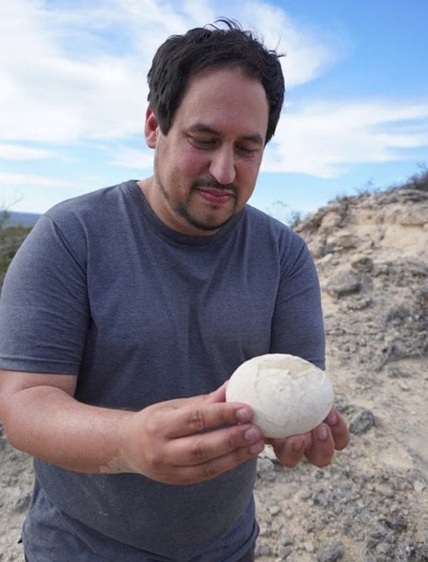 Яйце динозавра. / © dailymail.co.uk