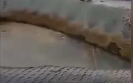 Гигантская змея-людоед напугала туристов в Таиланде (видео)