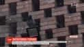 Голубей заточили в Запорожье: птицы оказались в ловушке