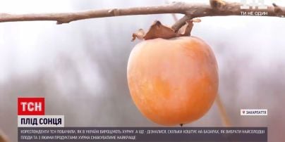 Как выбрать спелую хурму на рынке и возможно ли вырастить эту ягоду у себя в саду