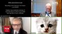 Новости мира: юрист из США едва не сорвал онлайн-заседание из-за фильтра с котенком