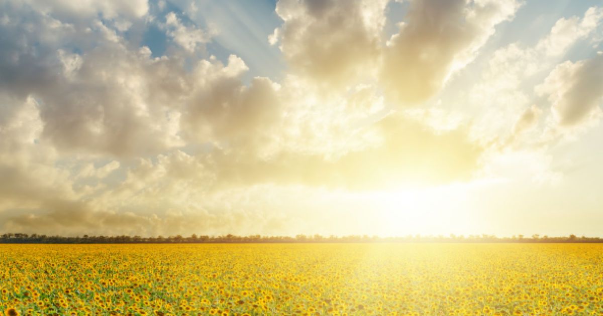 Почему хорошо там, где нас нет