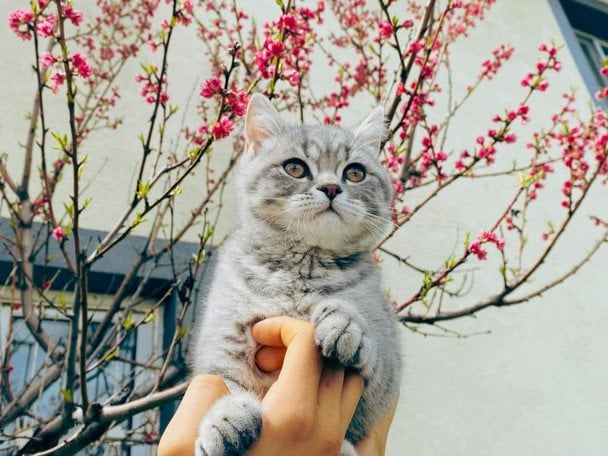 Заморозки до -5 та удар циклону з Польщі: синоптики попередили, де 