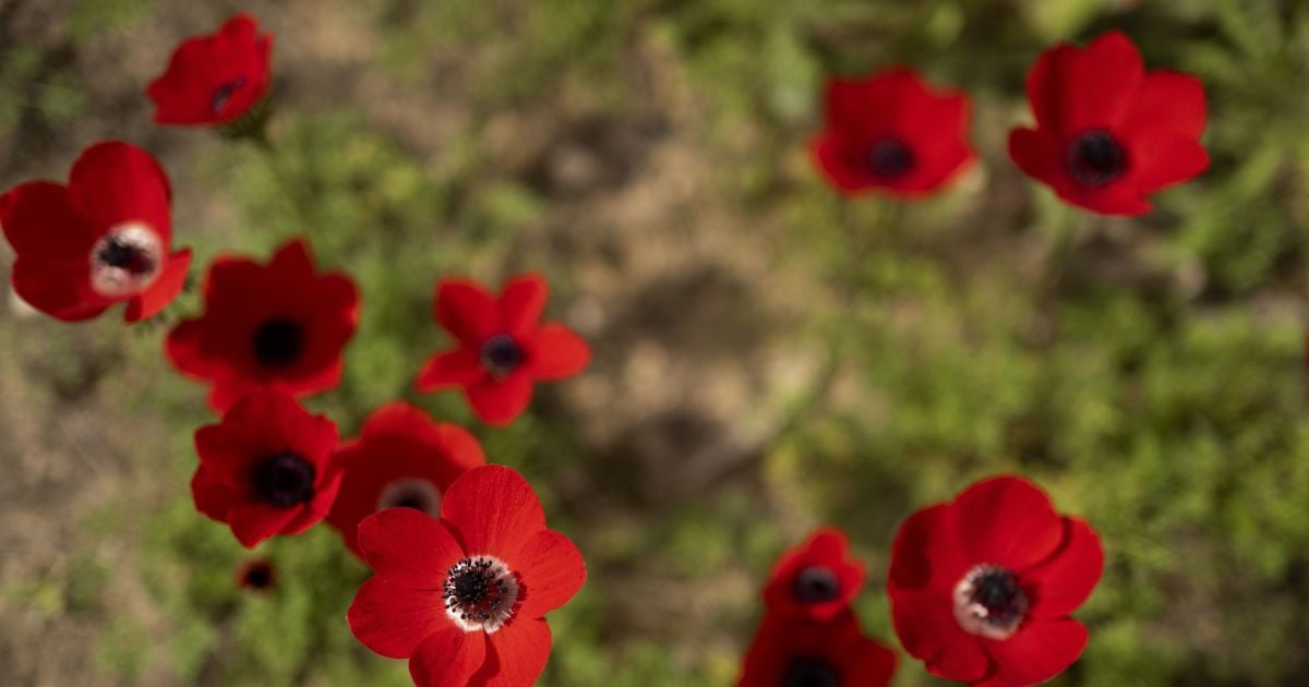 Понедельник будет теплый