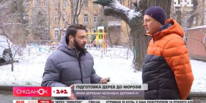 Подготовка к морозам: каким деревьям нужна помощь
