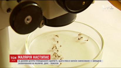 В Україні реєструють все більше випадків так званої "завезеної" малярії