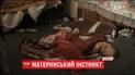Мати-одиначка залишила 5-річну доньку саму в квартирі та пішла розважатися