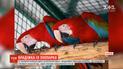 З Луцького зоопарку викрали двох екзотичних папуг