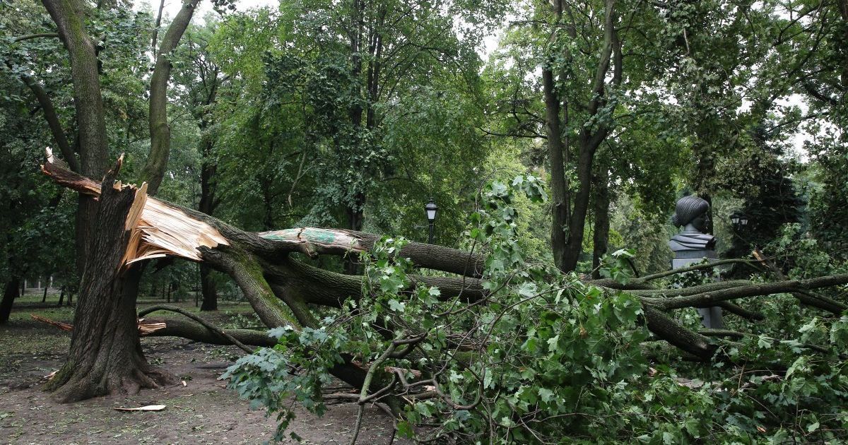 негода у києві_14 / © УНИАН