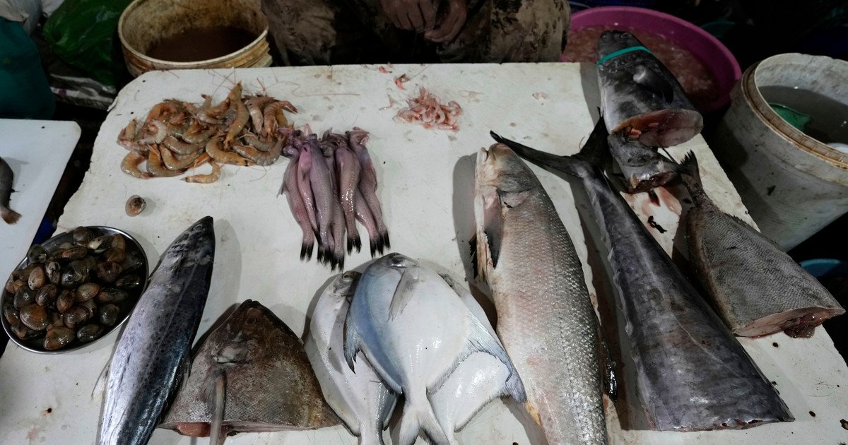 Дієтологи рекомендують вживати рибу хоча б раз на тиждень