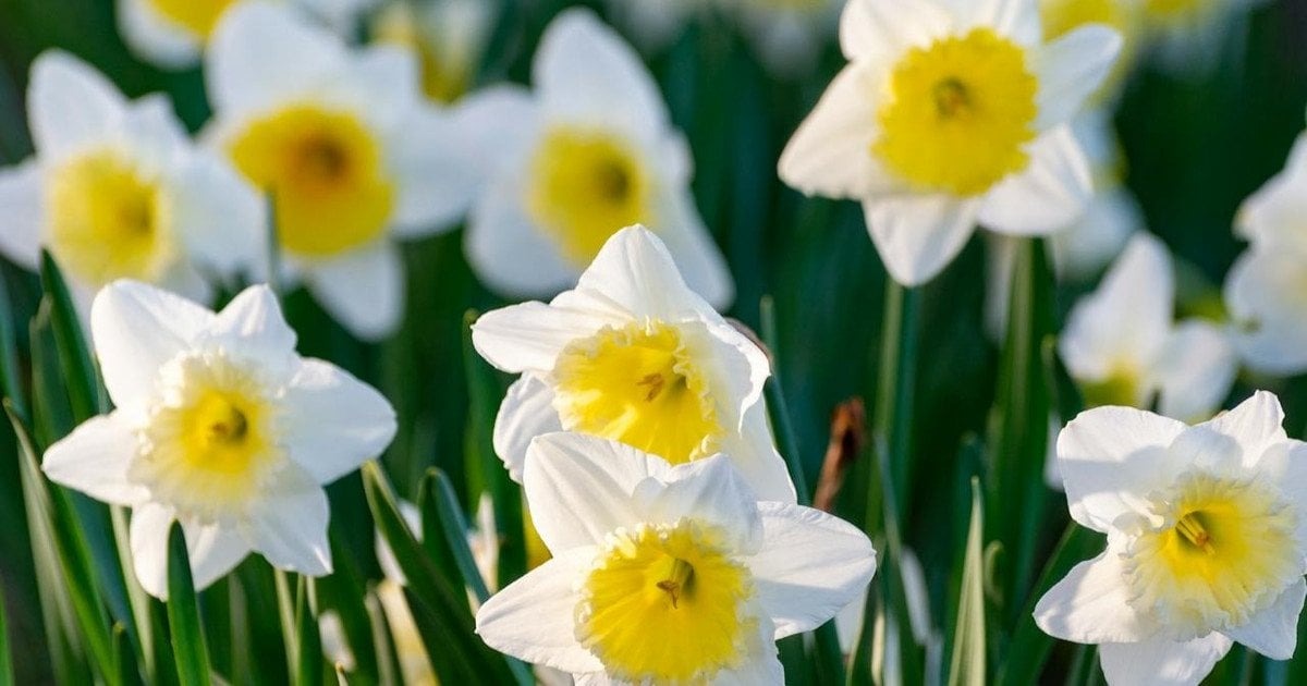 Який сьогодні, 30 березня, день ангела