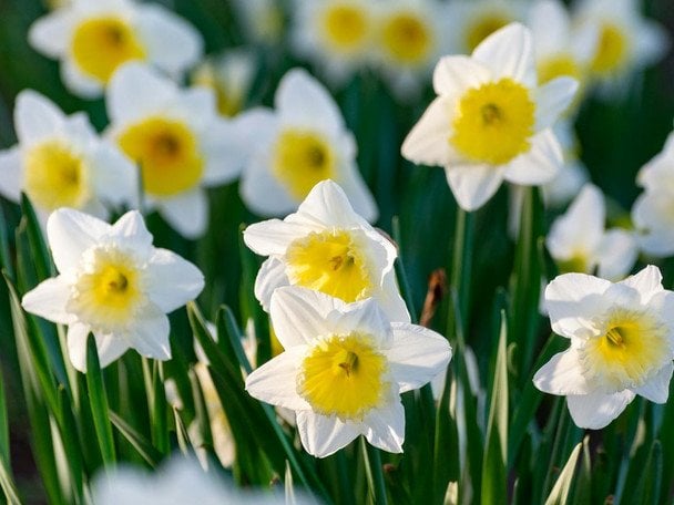 День ангела 30 березня: кого та як вітати з іменинами