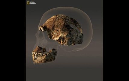 В Африке палеонтологи обнаружили неизвестного предка человека