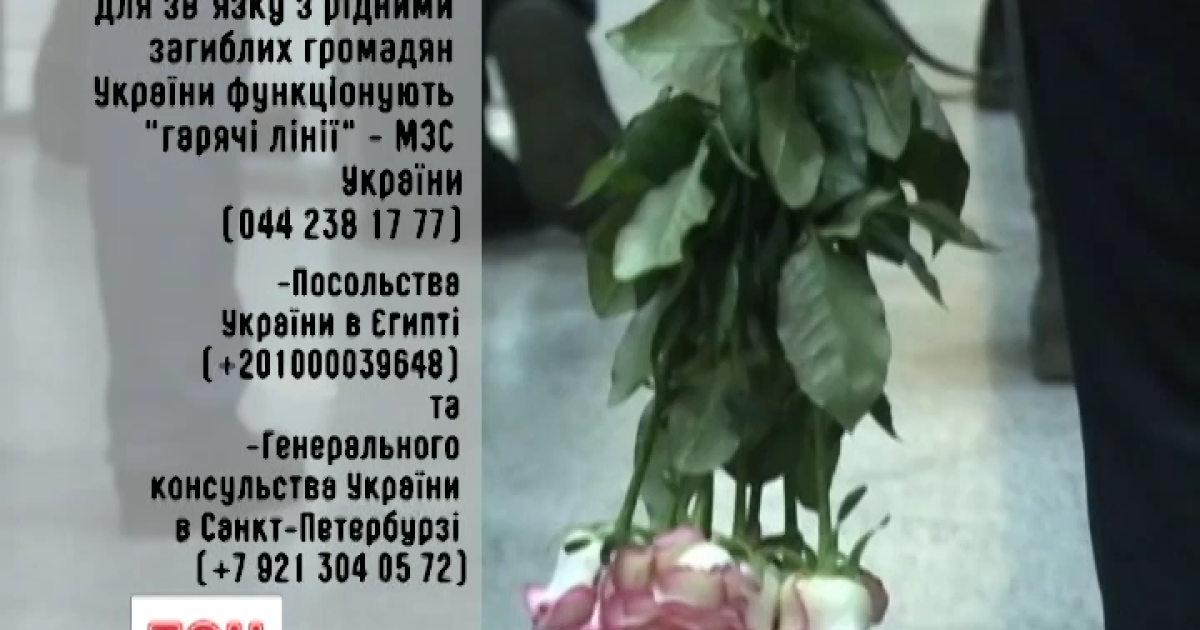 Родственникам погибших в Египте украинцев помогут дипломаты