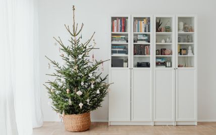 Как правильно выбрать пушистую новогоднюю елку: 10 советов, чтобы купить елку к праздникам