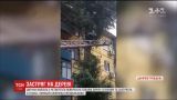 В Кривом Роге 10-летний мальчик с балкона многоэтажки вылез на тополь и застрял