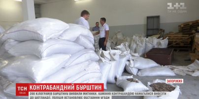 Рекордную партию контрабандного янтаря задержали на таможне в Запорожье