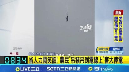 У Китаї селище залишилося без світла через свиню на дроні