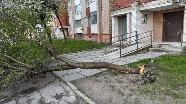 Наслідки негоди / © Львівська міська рада