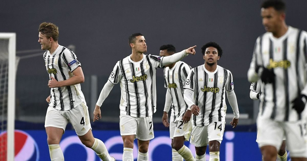 Кременчуктың жыныстық қатынасы